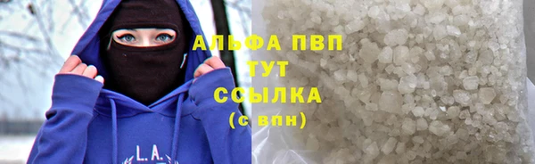СК Богородицк