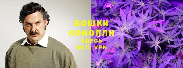 СК Богородицк