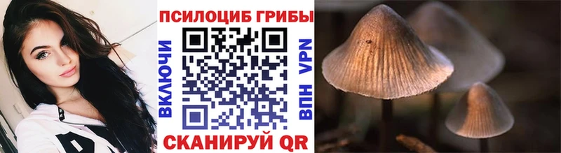 Псилоцибиновые грибы Cubensis  купить наркоту  Армавир 